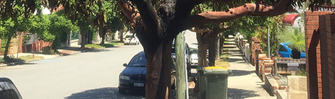 Burning bed takes out Volvo,&nbsp;tree