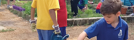 Embracing sustainable schooling