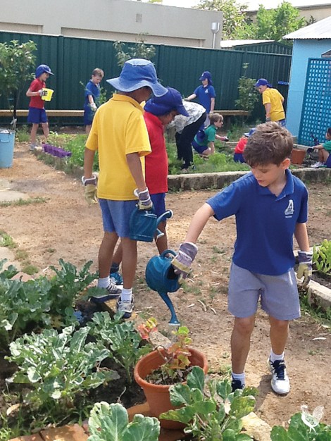 • Kids in the garden at Aranmore primary school. Photo supplied