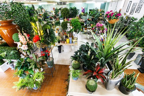 NORTH PERTH Branches