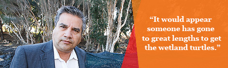 Turtles taken from reserve