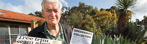 Tree trimmers return