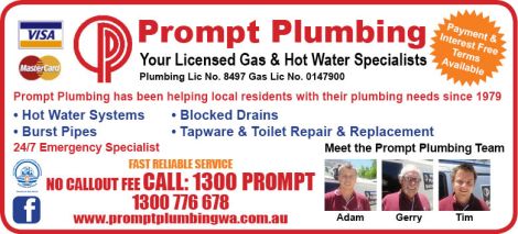 6. Prompt Plumbing 5x3