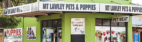 Pet shop defiant