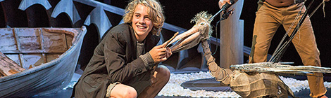 Gold standard for Storm Boy