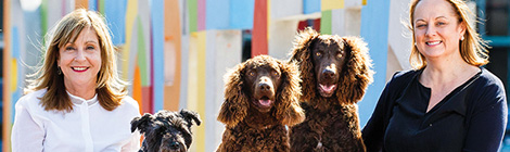 Howl for Dogtoberfest