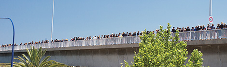 Join the human chain. Help stop the live&nbsp;exports!