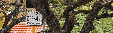 School zone peekaboo