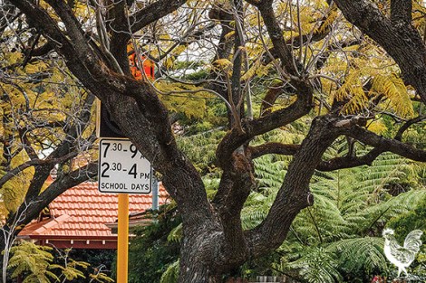 • The near-invisible flashing speed signs near Inglewood primary school. Photo by Matthew Dwyer