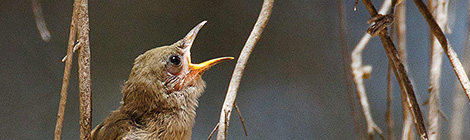 Eric’s back on&nbsp;song