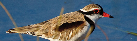 Look at me, look at&nbsp;me