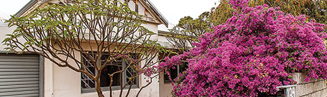 Locals demand squatter&nbsp;action