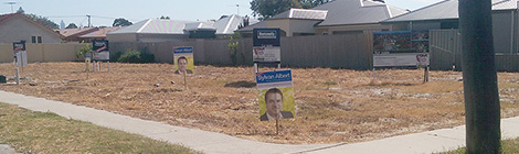 Realos are for&nbsp;Albert