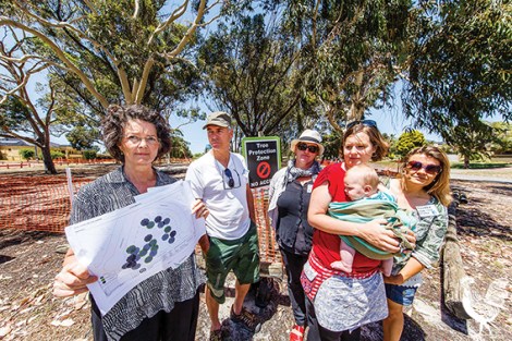 • Members of the Bayswater Urban Tree Network Jacquie Kelly, Lucy Gibson with baby Paddy Walker and Branka and Lazar Radanovich. They’re up in arms over the planned felling of 13 mature trees at Noranda Avenue Reserve. Photo by Matthew Dwyer