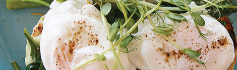 A fine time at&nbsp;Finlay