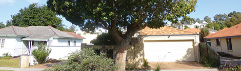 Trees valued in&nbsp;Stirling