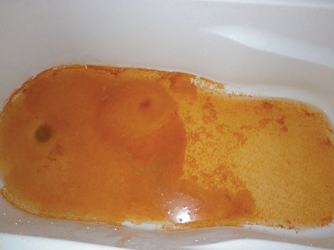 • Photo supplied | Sonya Green via Maylands Community Facebook page