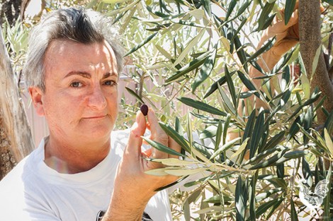 • Andrew Douglas inspects his ailing olive tree that’s like a “part of the family”. Photo by Matthew Dwyer