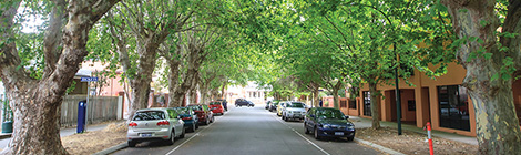 London Planes a pain