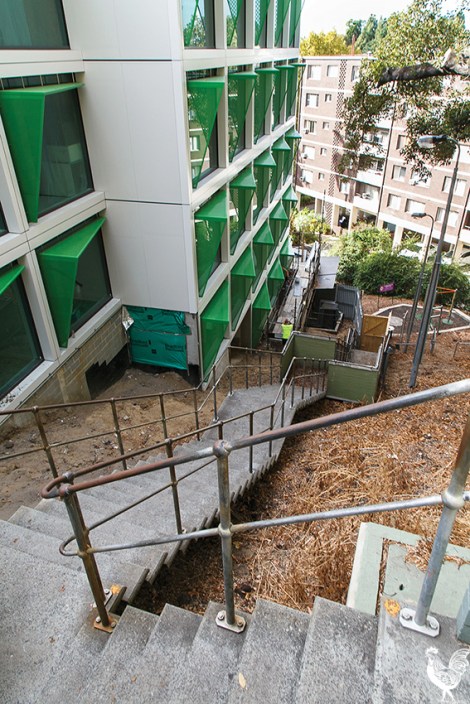 • Nowhere to run: Jacob’s Ladder will stay closed pending urgent repairs. Photo by Matthew Dwyer