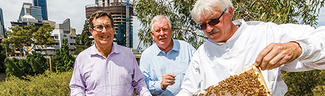 A buzz about&nbsp;parliament