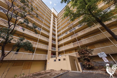 • The fencing around this eyesore got a little brightening up over the weekend by affable artist Mel McVee. Photo by Matthew Dwyer