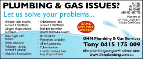 DHM Plumbing 5x3