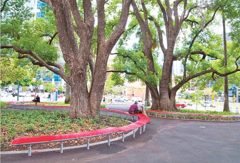 • One of Perth’s rare shady and green spots.