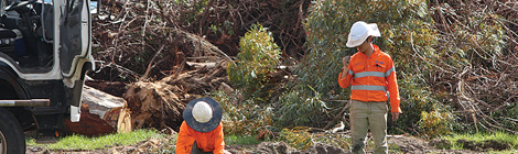 Clearing goes to&nbsp;EPA