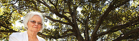 Horry’s Tree protected