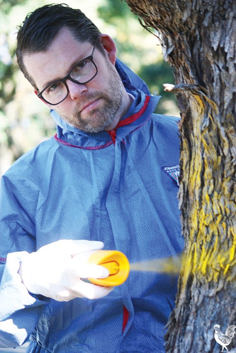 • Bayswater councillor Dan Bull gives this poisoned tree its first yellow coat. Photo by Steve Grant