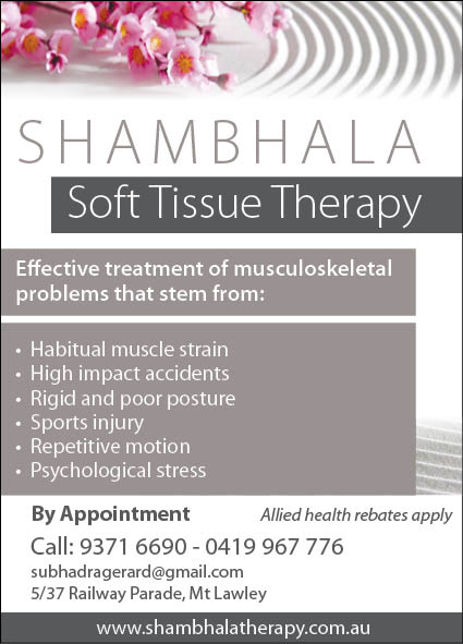 940 Shambhala Soft Therapy 10x2