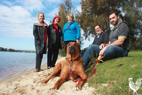 • Nicole Cutler, Maureen Mackay, Jan Wilkie, Michael Sutherland, Jason Williams and Einstein enjoy the idyllic surrounds of Banks reserve. Photo by Steve Grant