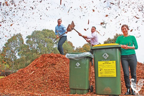 • THERE’S free mulch for all at Britannia Reserve at the corner of Britannia Road and Federation Street in Mt Hawthorn, the remains of trees cut down around Vincent.  Mayor John Carey, pictured with the council’s parks manager Jeremy van den Bok and councillor Emma Cole modelling the council’s new big recycling bins, says no one likes to see a tree go, but when it does it’ll at least get a Lion King-style “circle of life” send-off and they’ll continue to pile the mulch at the corner for anyone to take it any time. “Rather than sending trees off to go to green waste, off to Mindarie Regional Council, we can reuse it for another great benefit with our adopt a verge program [which sets up locals with free native plants and mulch for their verge] and a free mulch station. Any resident can go there, if there’s mulch they can take it, and it’s good for a waterwise garden.”