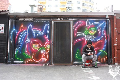 • Photo by Steve Grant