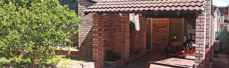 Lemon tree very pretty – keep looking at the tree