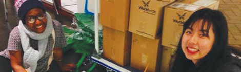 Frog friends for shrinking&nbsp;wetlands