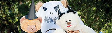 Halloween teddy bears’ picnic