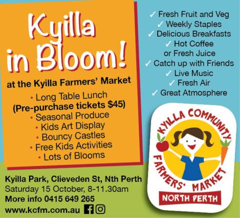 953-kiylla-community-10x3