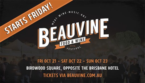 954-beau-vine-jump-climb-10x4-6