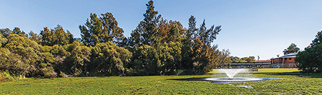 Going batty to save&nbsp;lakes