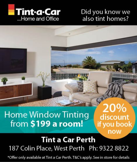 959-tint-a-car-10x2-3