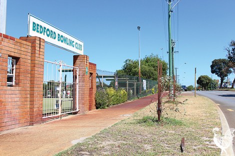 •These baby trees weren’t appreciated by the Bedford Bowling Club. Photo by Trilokesh Chanmugam