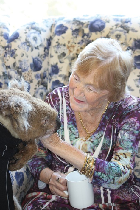 • Rosewood resident Shirley Lay hanging out with a koala. 