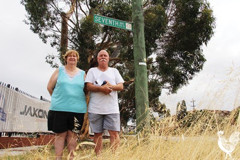 • Dina Rechichi from Mandy’s Deli and Graeme Reany say these two iconic gums at the entrance to Maylands will go under plans to widen Guildford Road. Photos by Steve Grant