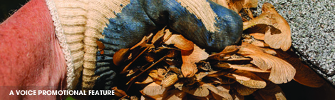 RENOVATE AND UPDATE&nbsp;FEATURE