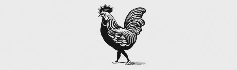 Carey: Council running Libs “protection racket”