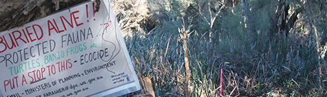 Tree damage ignored