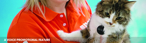 PETstock – where pets are&nbsp;family