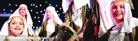 Lots of Christmas&nbsp;fun